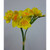 42cm Narcissus Bundle Yellow