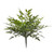Jasmin Fern Large 35.5x35.5x48cm