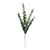 Eucalyptus Small leaf Grey 15x5x65cm