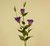 84cm Eustoma Spray x3 Purple