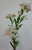 86cm Lilac Blossom Pink