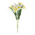Essential Narcissus Bush with Leaves - White