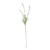 Essential Lavender Stem