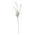 Essential Lavender Stem