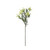 Essential Broom Bloom - White