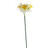 Essential Mini Daffodil x3 Heads - White