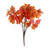 Essential Autumn Maple Bush - Red