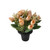 Essential Rose Mix Remembrance Grave Pot - Cream