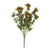 Essential Sedum Bush - Orange