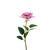 Essential Rose -  Lavender 