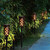 Set of 5 Solar Flame Lights Battery Powered 42.5cm
