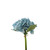 Essential Hydrangea Bouquet - Blue