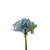 Essential Hydrangea Bouquet - Blue