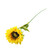 Essential Sunflower  - Yellow