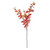 Essential Autumn Eucaylyptus Stem - Red/Orange