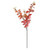 Essential Autumn Eucaylyptus Stem - Red/Orange