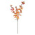 Essential Autumn Eucaylyptus Stem - Orange