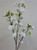 120cm Cherry Blossom Spray White