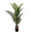 Potted Palm Tree 120cm