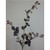98cm Eucalyptus Purple