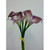 40cm Cala Lily Bundle Purple