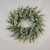 24" Frosted Eucalyptus Wreath