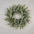 24" Frosted Eucalyptus Wreath