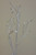 72cm Glitter Branch Spray White