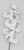 75cm Glitter Phalaenopsis White