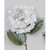 68cm Glitter Hydrangea White