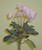 32cm Cyclamen x7 Lt Pink
