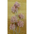 50cm Berry Cluster Spray Pink