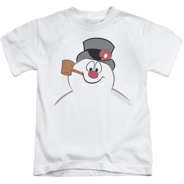 Frosty The Snowman/frosty Face-s/s Juvenile 18/1-white