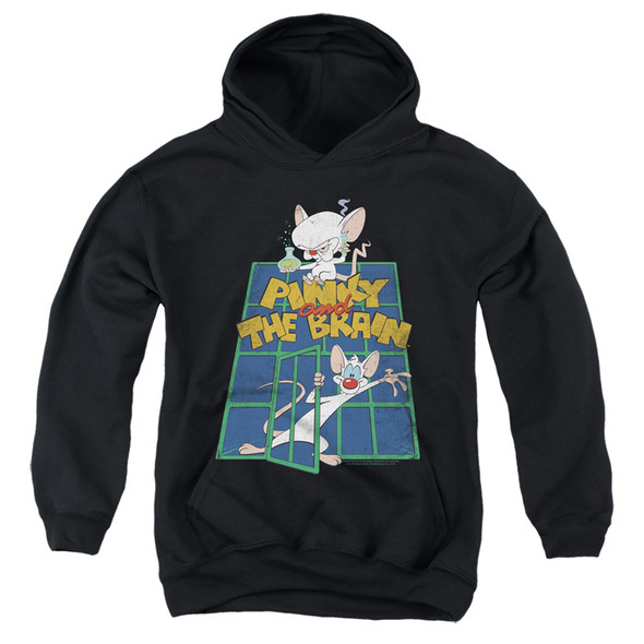 Pinky And The Brain/ol Standard-youth Pull-over Hoodie-black