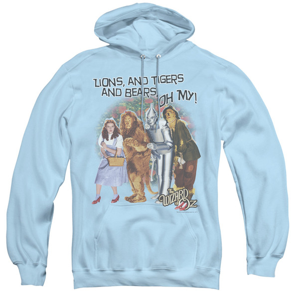 Wizard Of Oz/oh My-adult Pull-over Hoodie-light Blue