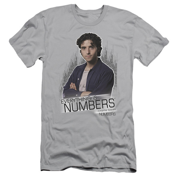 Numbers/everything Is Numbers - S/s Adult 30/1 - Silver