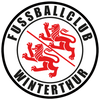 HollandOto 1:50 VDL Futura Winterthur Football Club