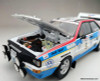 Sun Star 1:18 Audi Quattro A2 #3: Rally Argentina YPF 1984