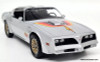 1977 Pontiac Firebird "Fire Am" by Very Special Equipment (VSE), Silver 1:18 Diecast Model Car by Greenlight