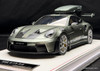 Porsche 911 GT3 RS (992) w/Detachable Roof Rack, Urban Bamboo Chromaflair 1:18 Resin Cast Model Car by Ivy Merit