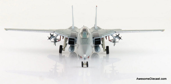 Grumman F-14A Tomcat 