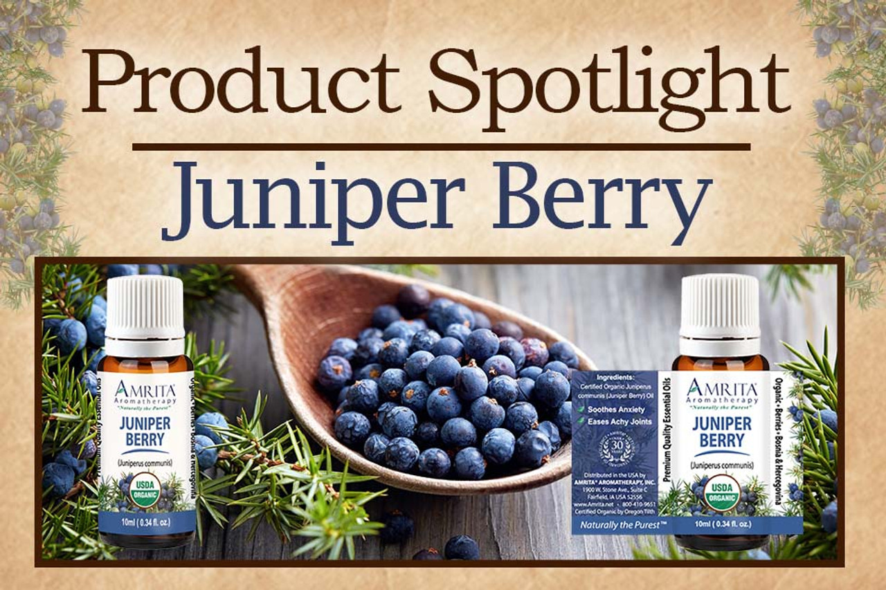 Product Spotlight Juniper Berry Amrita Aromatherapy Amrita