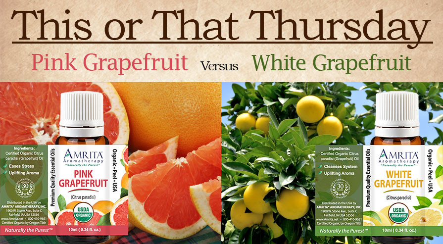 This or That Pink Grapefruit versus White Grapefruit Amrita