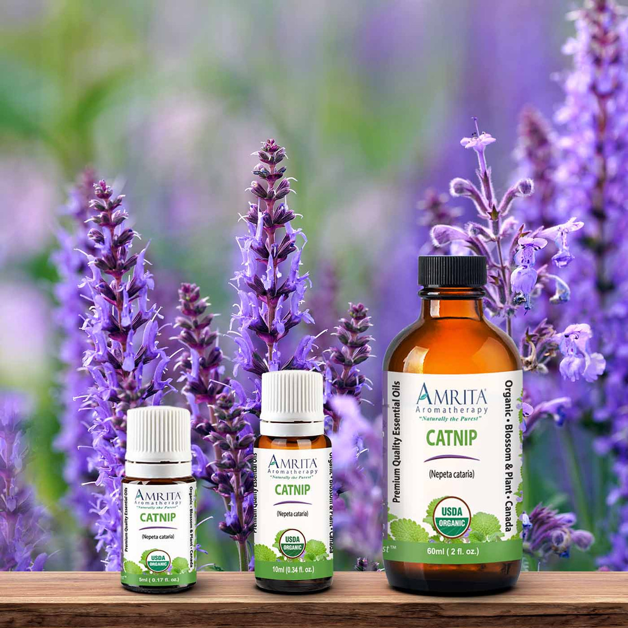 Catnip Organic Essential Oil | Amrita Aromatherapy