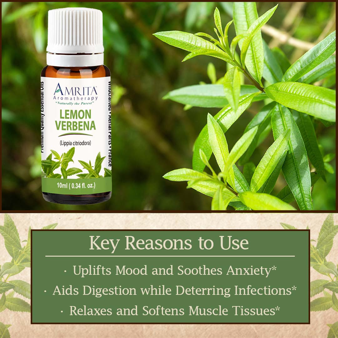 Lemon Verbena Essential Oil | Amrita Aromatherapy