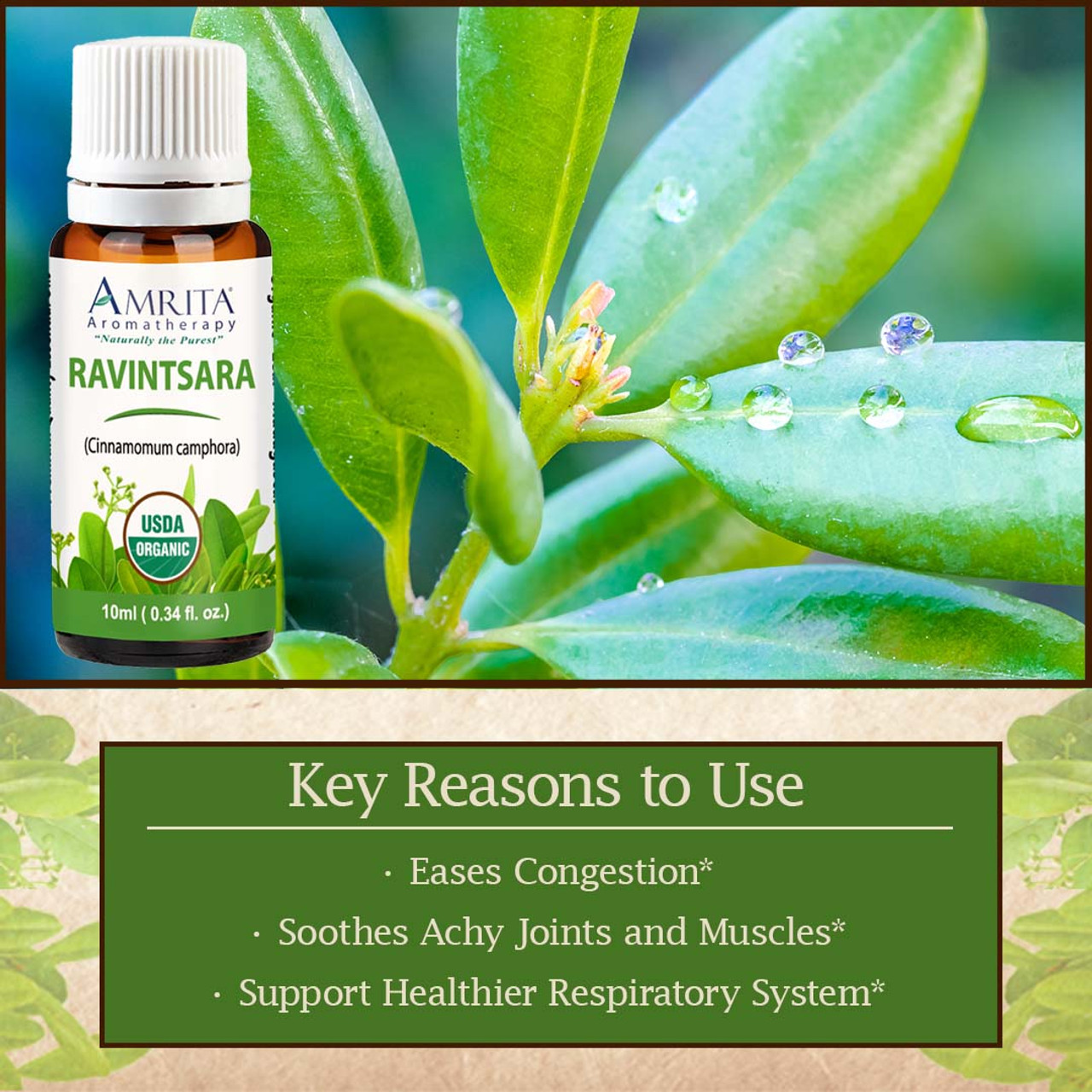 Ravintsara Organic Essential Oil