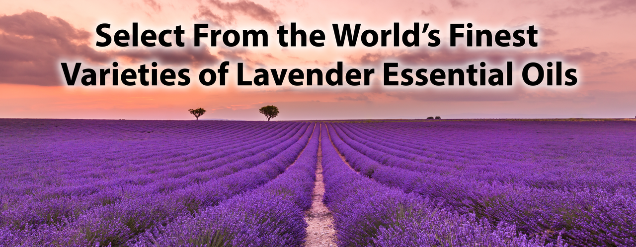 Lavender Knowledge Library
