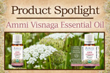 Product Spotlight: Ammi Visnaga