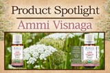 Product Spotlight: Ammi Visnaga