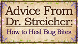 Advice from Dr. Streicher: How to Heal Bug Bites